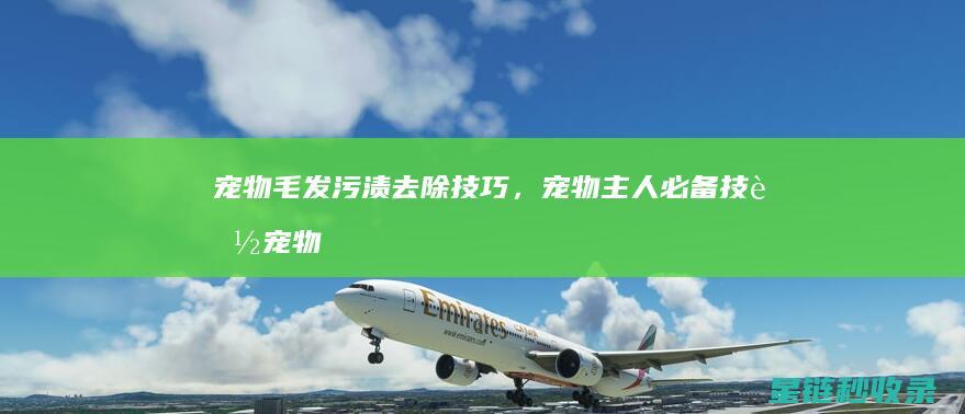 宠物毛发污渍去除技巧，宠物主人必备技能 (宠物毛发污渍怎么去除)