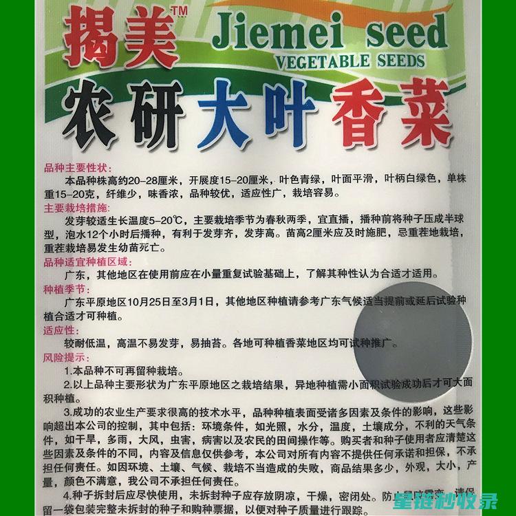 香菜保鲜大揭秘，这个方法太绝了！ (香菜保鲜技术)